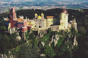 PROGRAMMES SPÉCIAUX MY CAMP